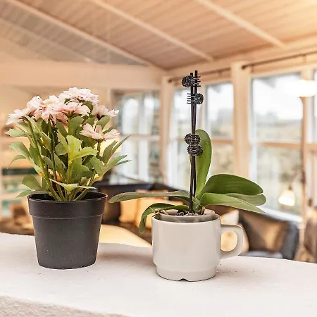 10 Person Holiday In L Kken Løkken